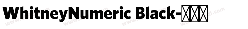 WhitneyNumeric Black字体转换